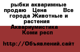 рыбки акваримные продаю › Цена ­ 30 - Все города Животные и растения » Аквариумистика   . Коми респ.